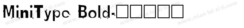 MiniType Bold字体转换